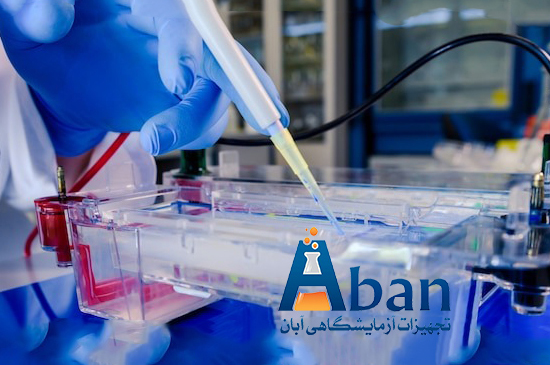 الکتروفورز چیست و انواع الکتروفورز